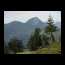 traalp092004_032.JPG