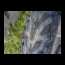 traalp092004_230.JPG